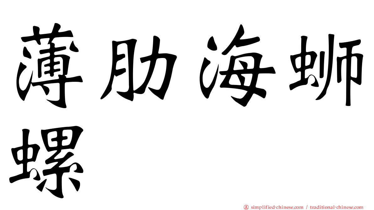 薄肋海蛳螺