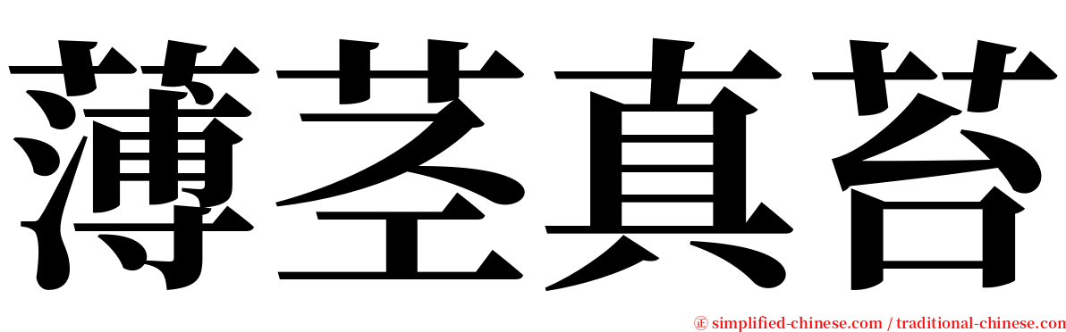 薄茎真苔 serif font
