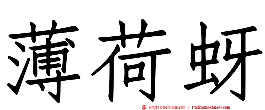 薄荷蚜