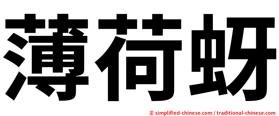 薄荷蚜
