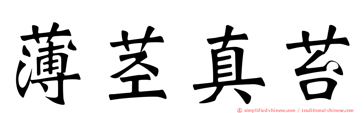 薄茎真苔