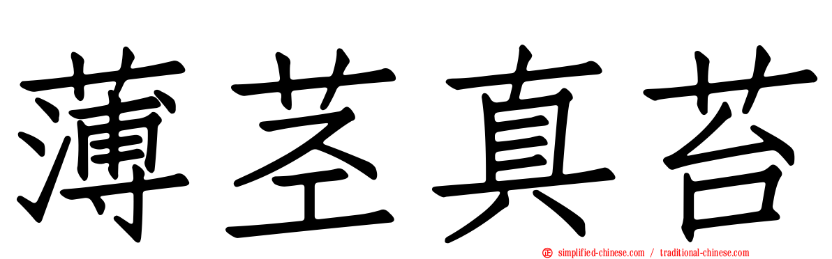 薄茎真苔