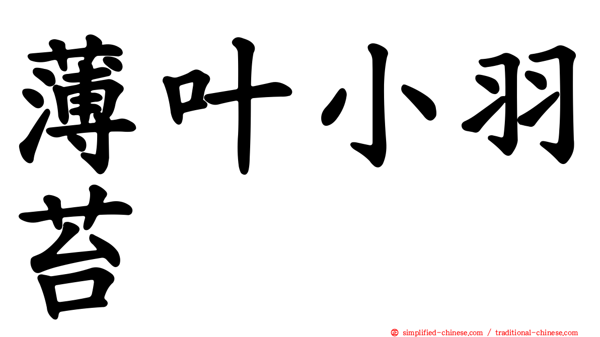 薄叶小羽苔