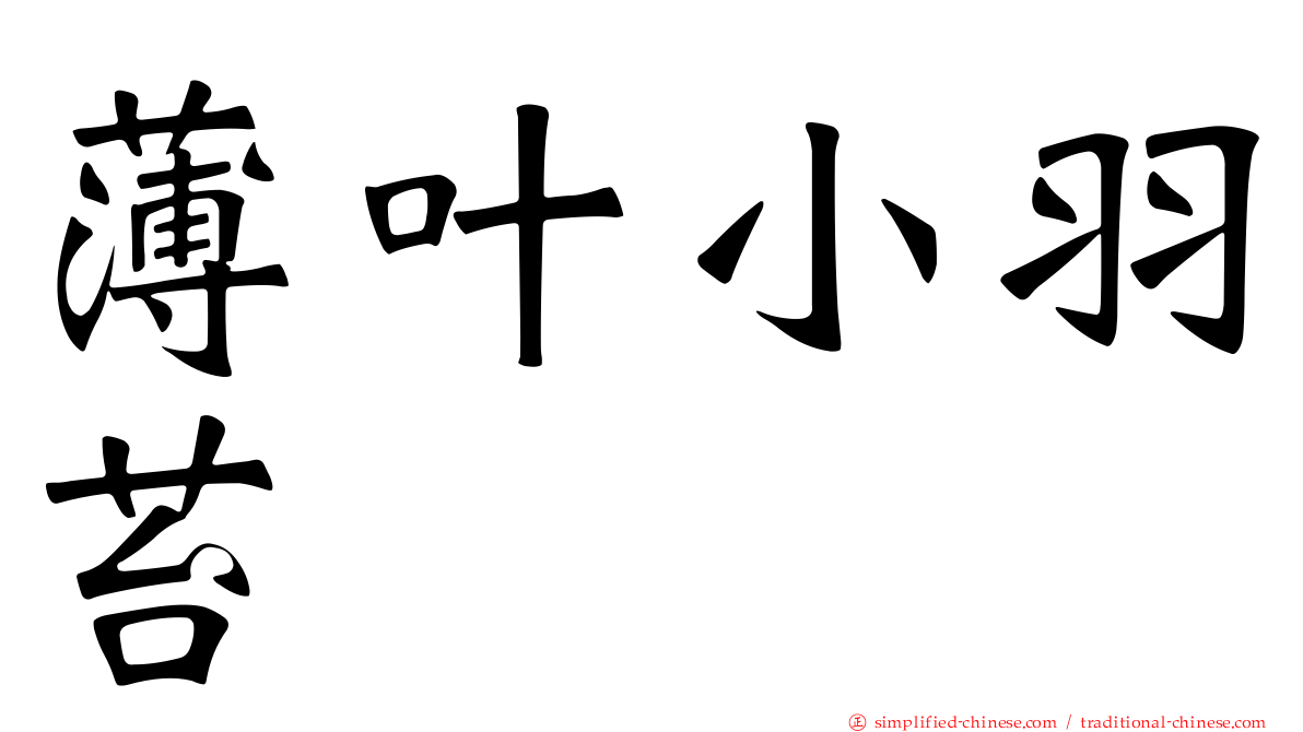 薄叶小羽苔