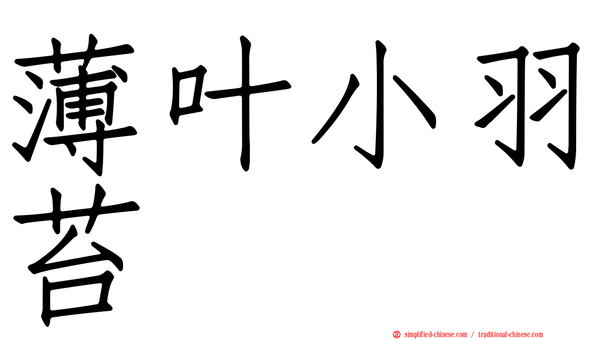 薄叶小羽苔