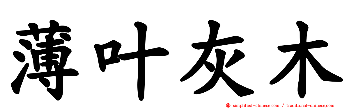 薄叶灰木