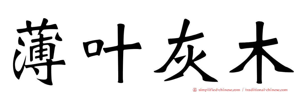 薄叶灰木