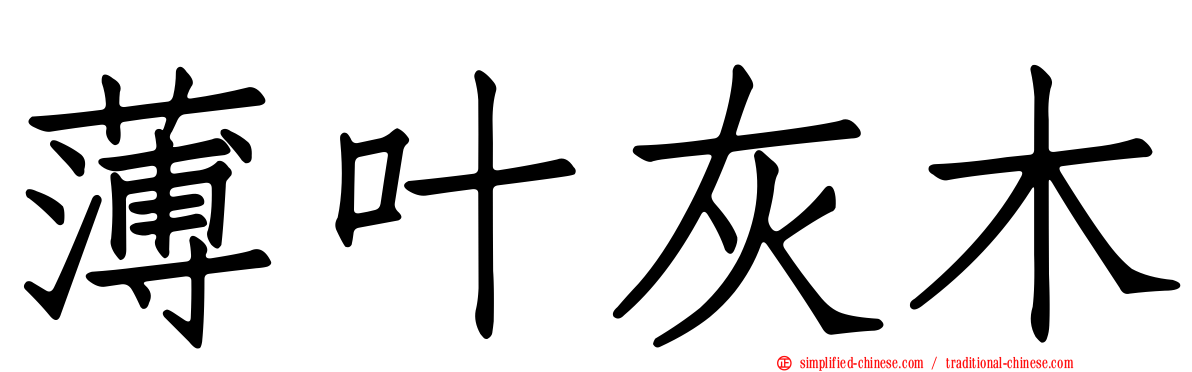 薄叶灰木