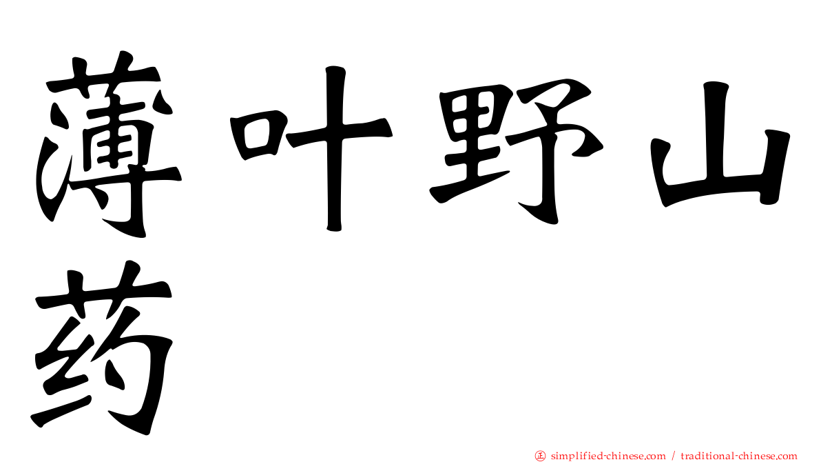 薄叶野山药