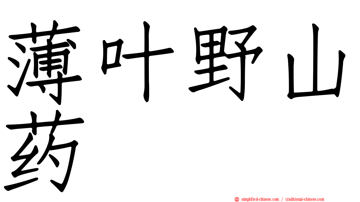 薄叶野山药