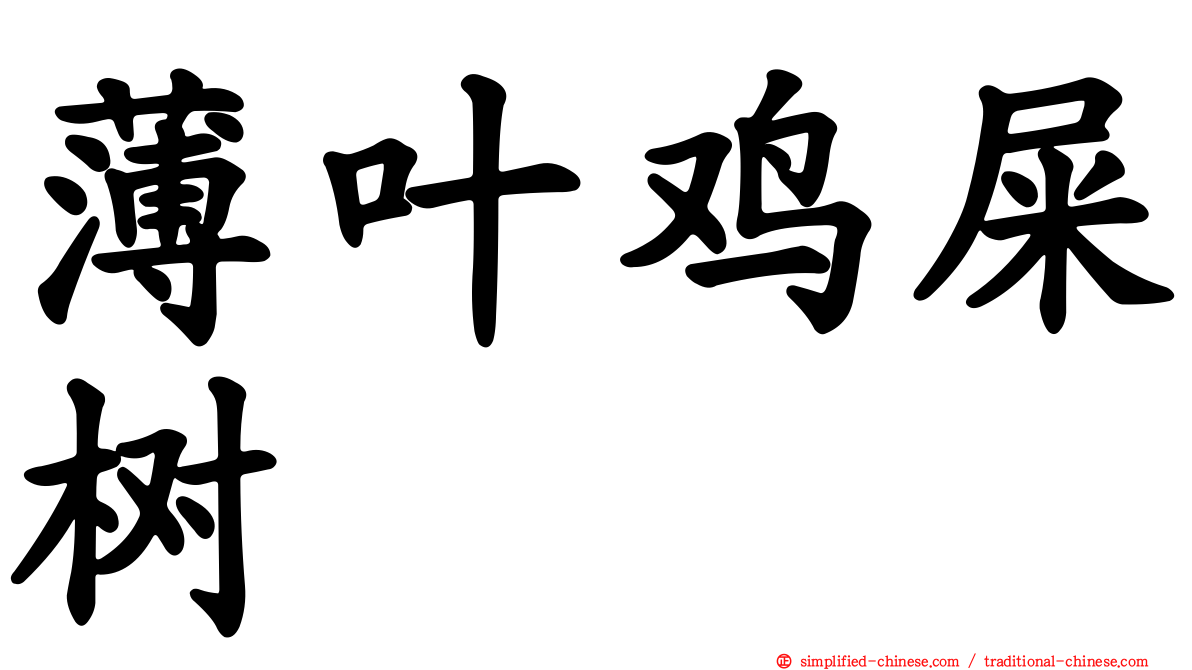 薄叶鸡屎树