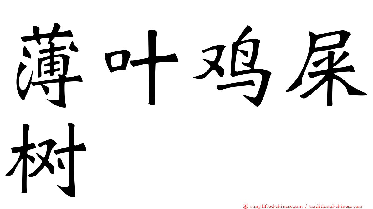 薄叶鸡屎树