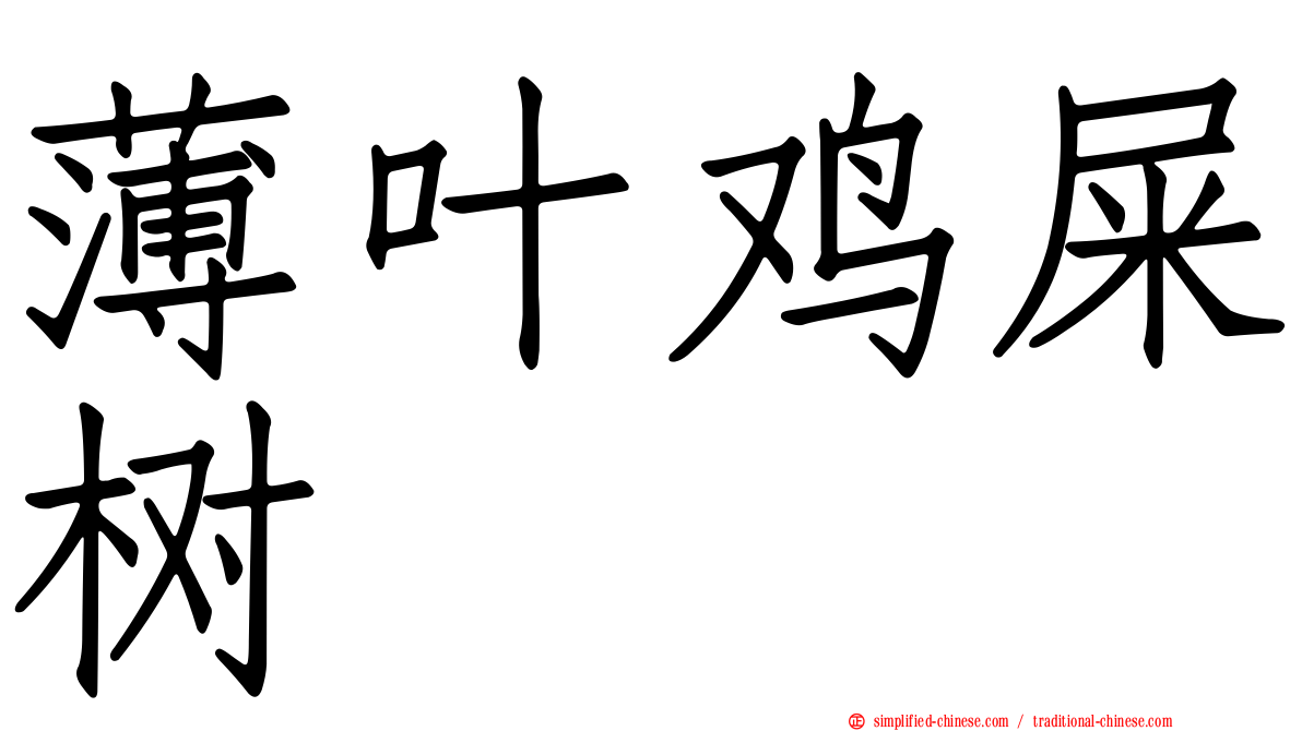 薄叶鸡屎树