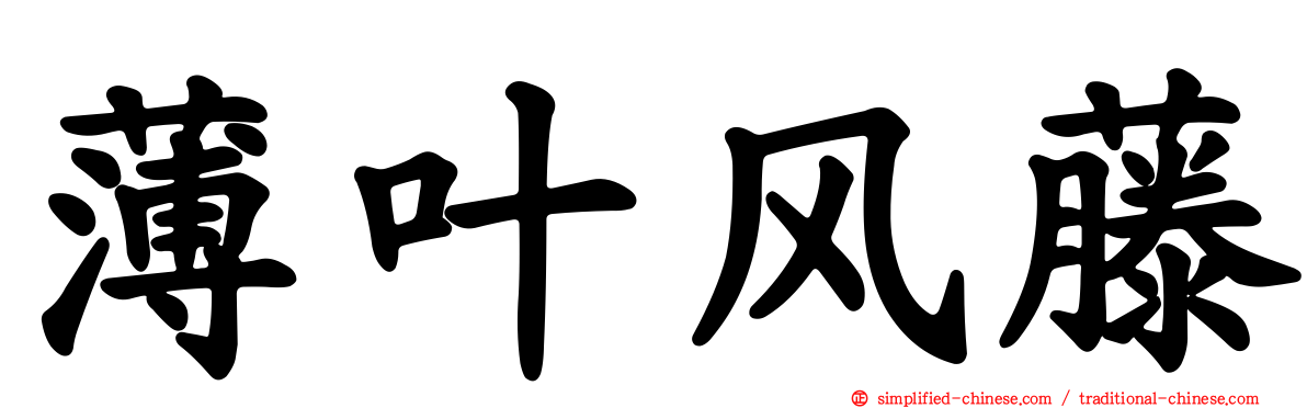 薄叶风藤