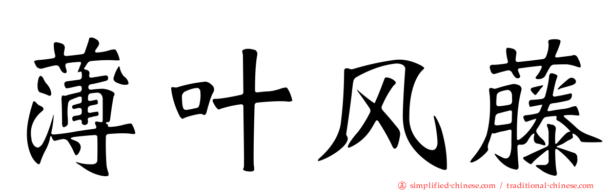 薄叶风藤