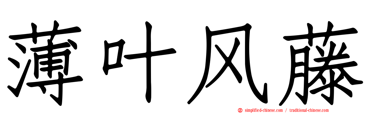 薄叶风藤
