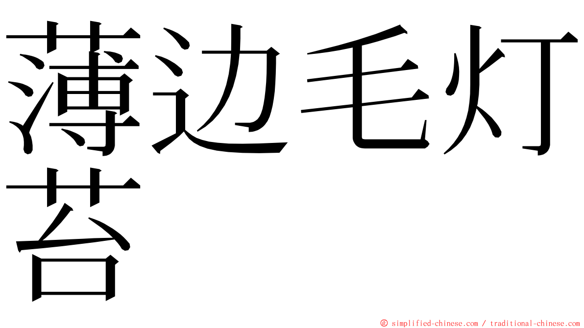 薄边毛灯苔 ming font