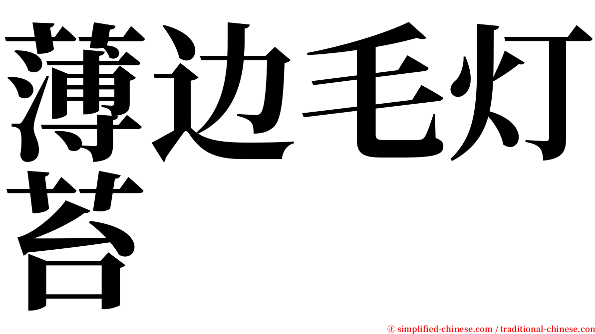 薄边毛灯苔 serif font