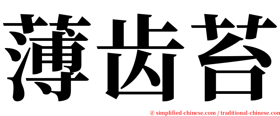 薄齿苔 serif font