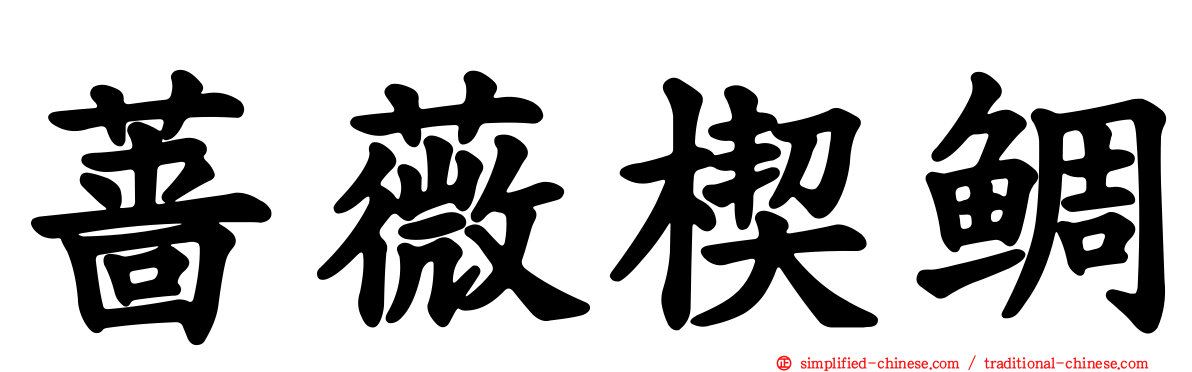 蔷薇楔鲷
