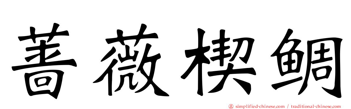 蔷薇楔鲷