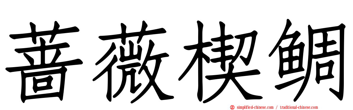 蔷薇楔鲷