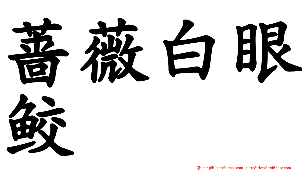 蔷薇白眼鲛