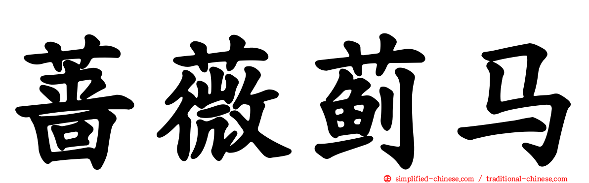蔷薇蓟马