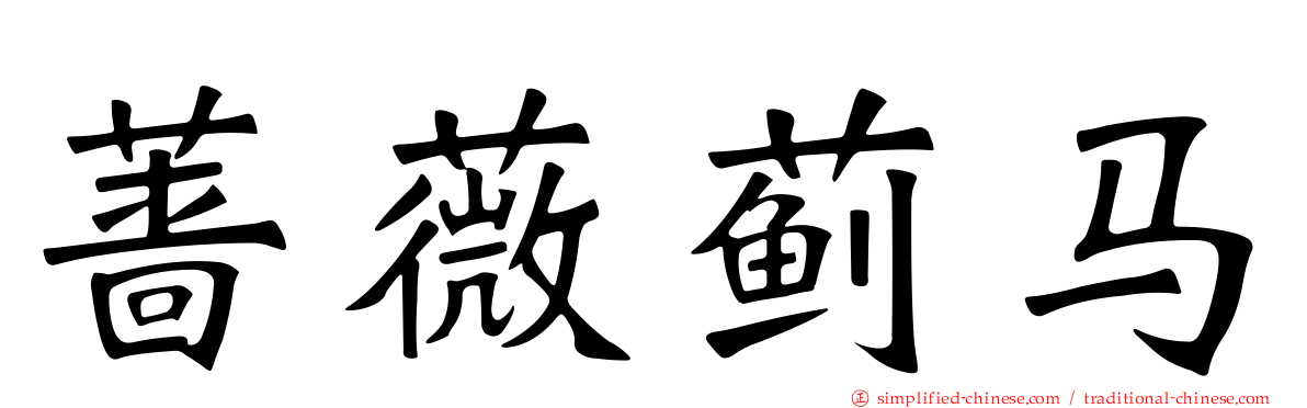 蔷薇蓟马