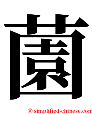 薗 serif font