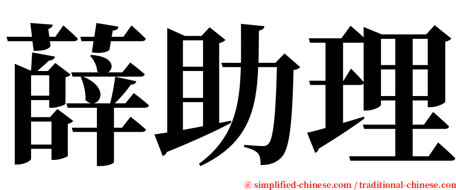薛助理 serif font