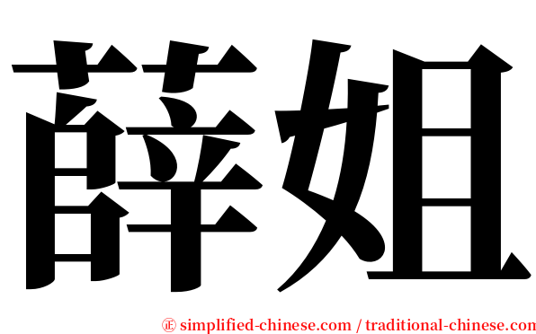 薛姐 serif font
