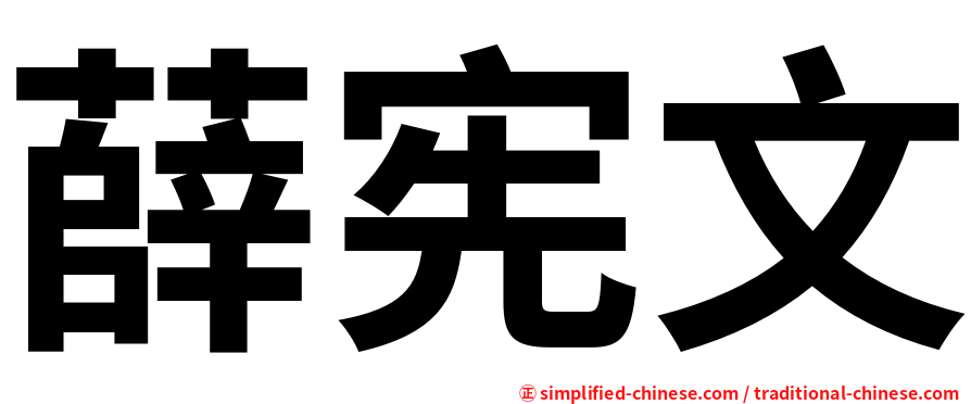 薛宪文