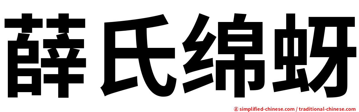 薛氏绵蚜