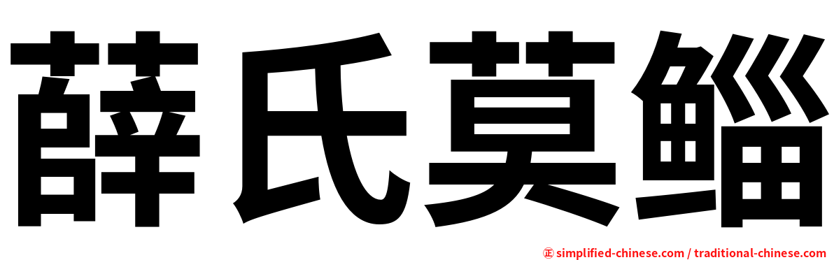 薛氏莫鲻