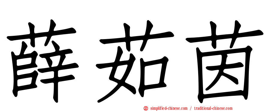 薛茹茵