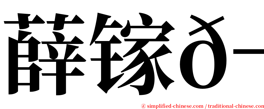 薛镓𬭎 serif font