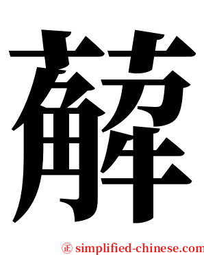薢 serif font