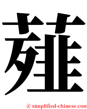 薤 serif font