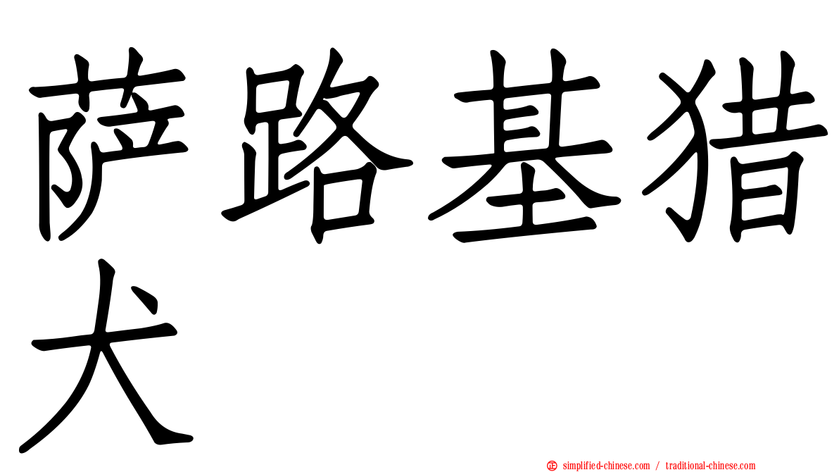 萨路基猎犬