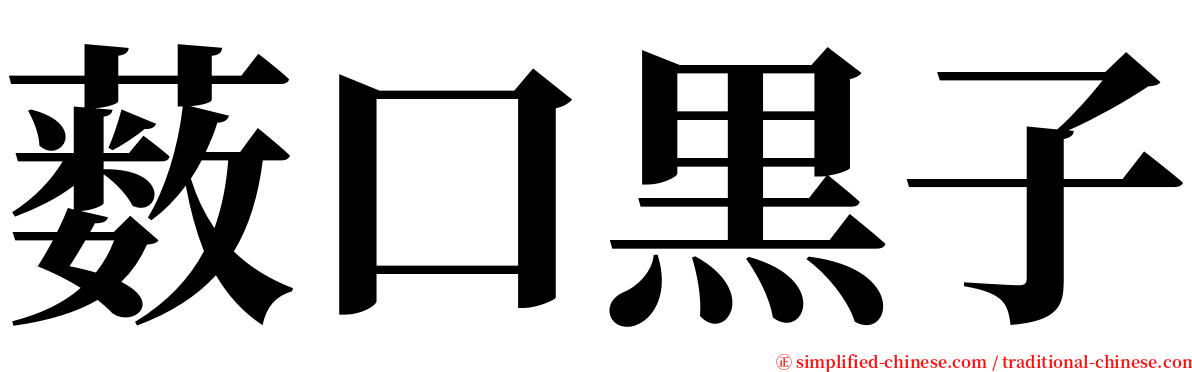 薮口黒子 serif font