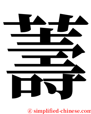 薵 serif font