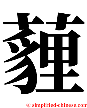 薶 serif font