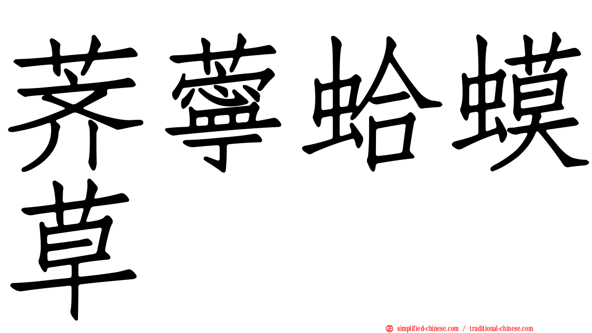 荠苧蛤蟆草