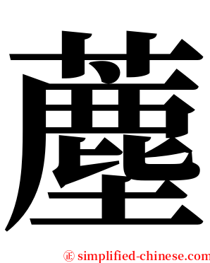 薼 serif font