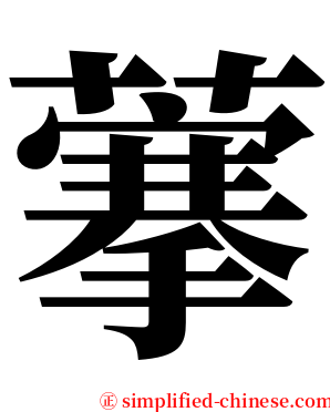 藆 serif font