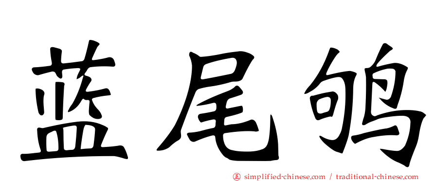 蓝尾鸲