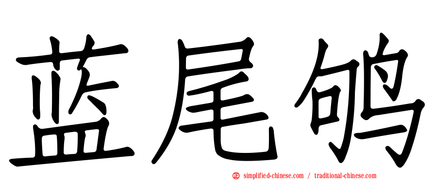 蓝尾鸲