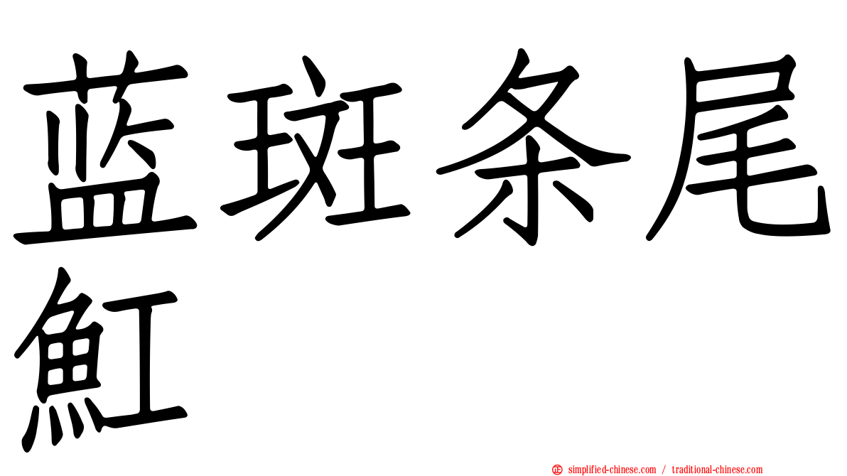 蓝斑条尾𫚉