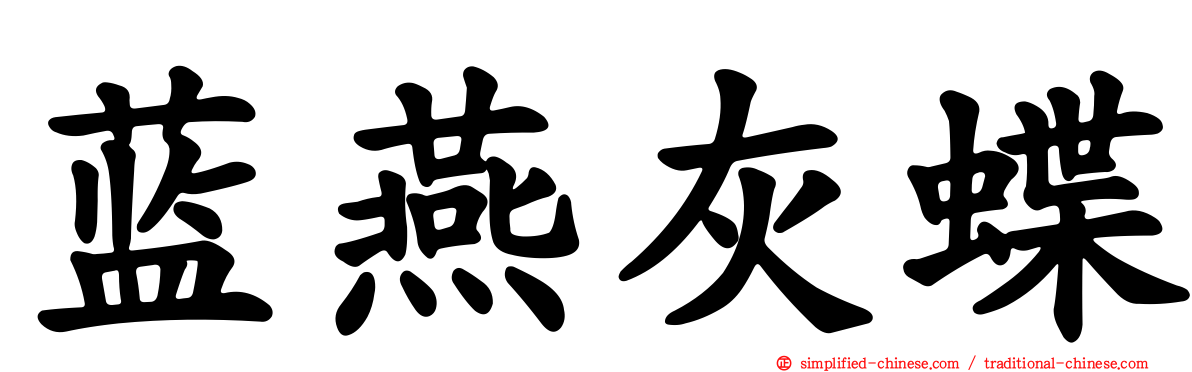 蓝燕灰蝶